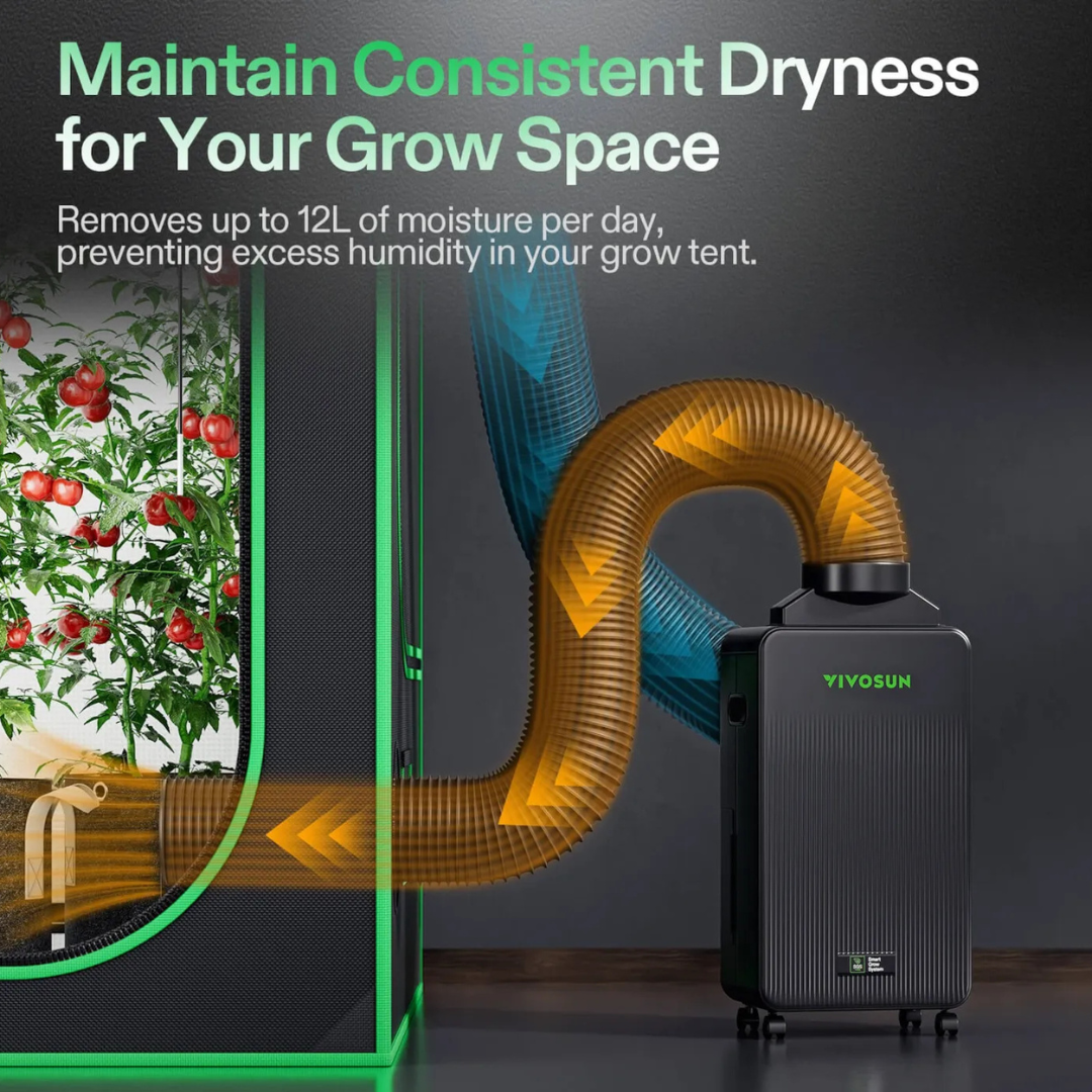 Vivosun AeroDrain D12 Intelligent Environmental Dehumidifier, up to 12L/day, 2L Water Tank, with Temperature & Humidity Sensor Probe