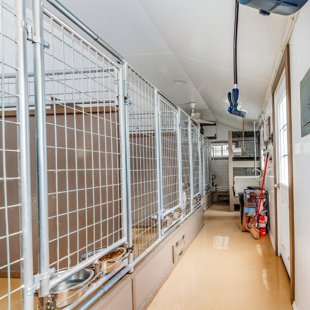 Bird in Hand 15×32 8-Run Commercial Kennel