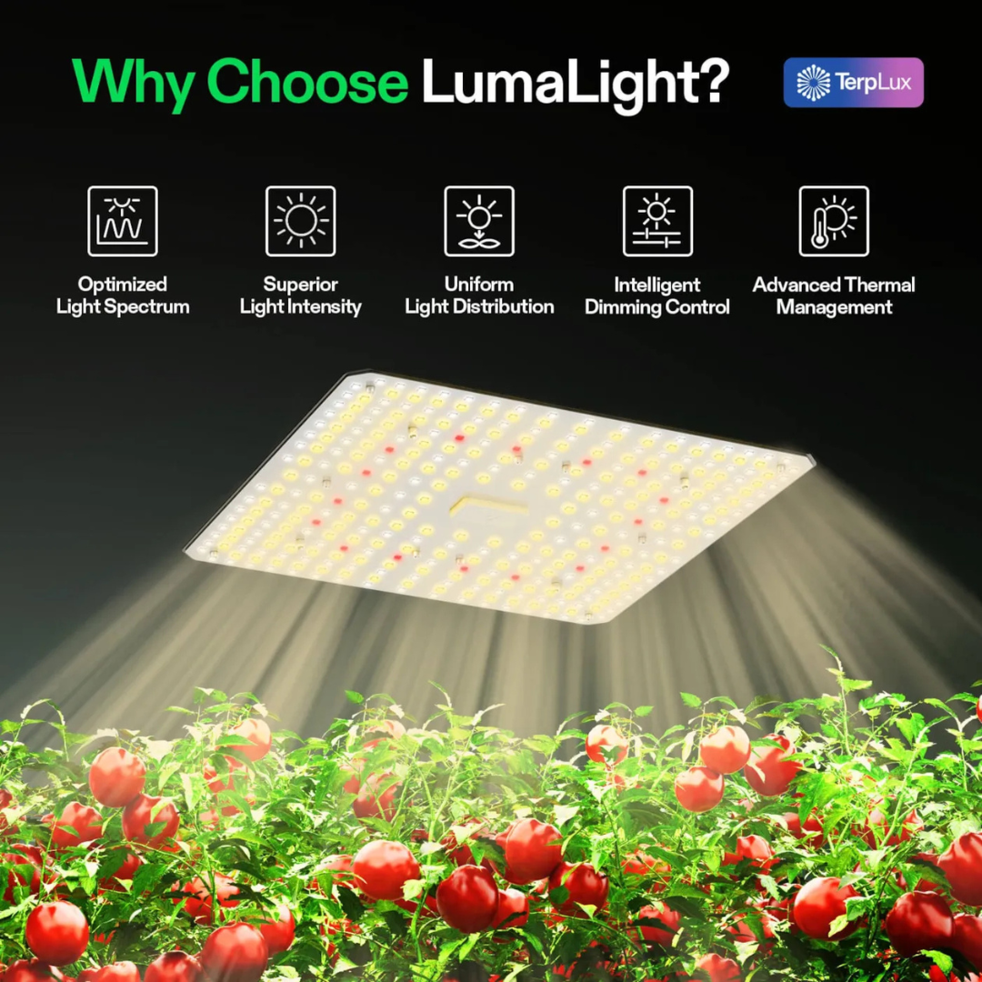 Vivosun LumaLight 100W LED Grow Light, Full Spectrum Plant Light, Smart Dimmable & High PPFD for Indoor Plants Seedling Vegetables Bloom
