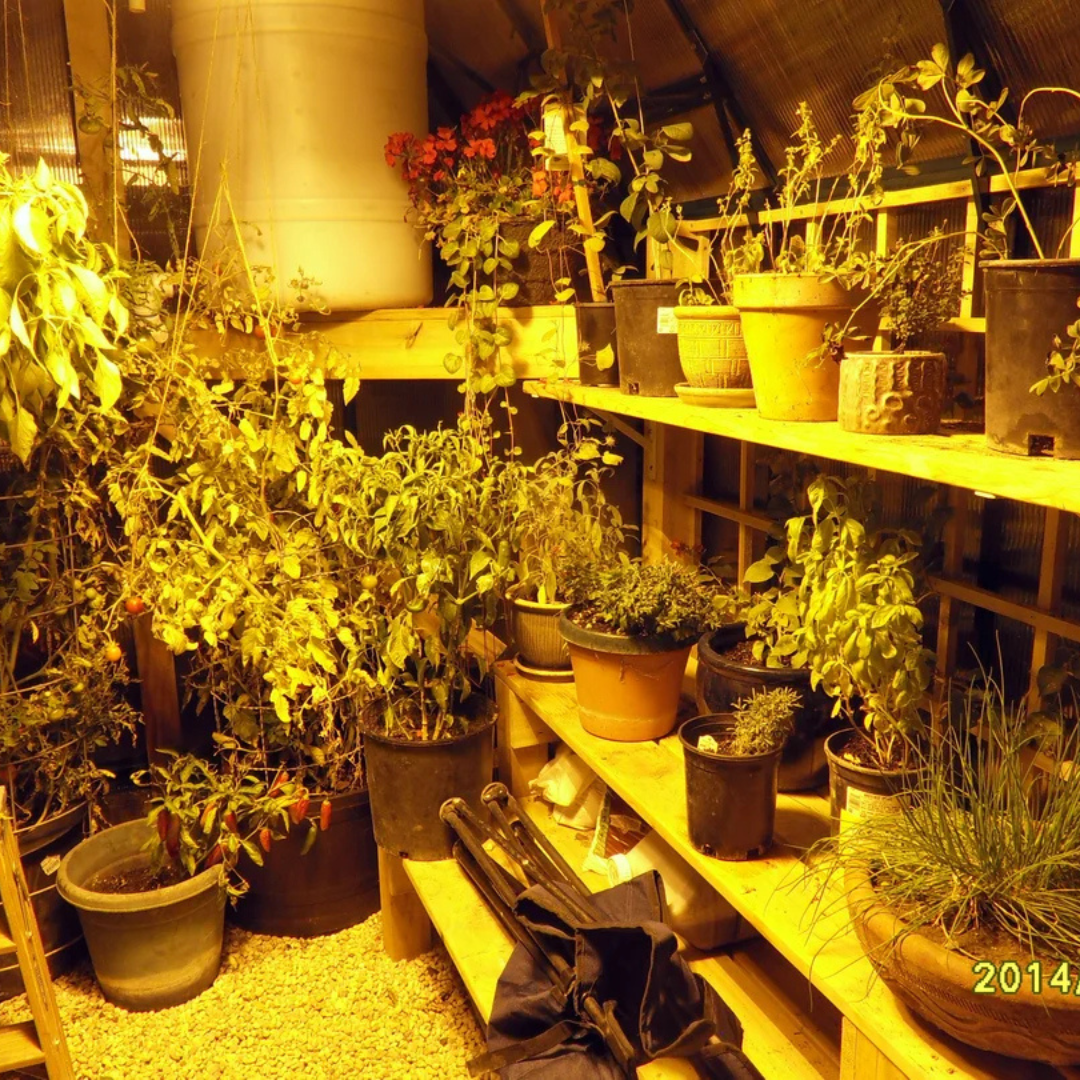 Grandio Elite 8x16 Greenhouse Kit