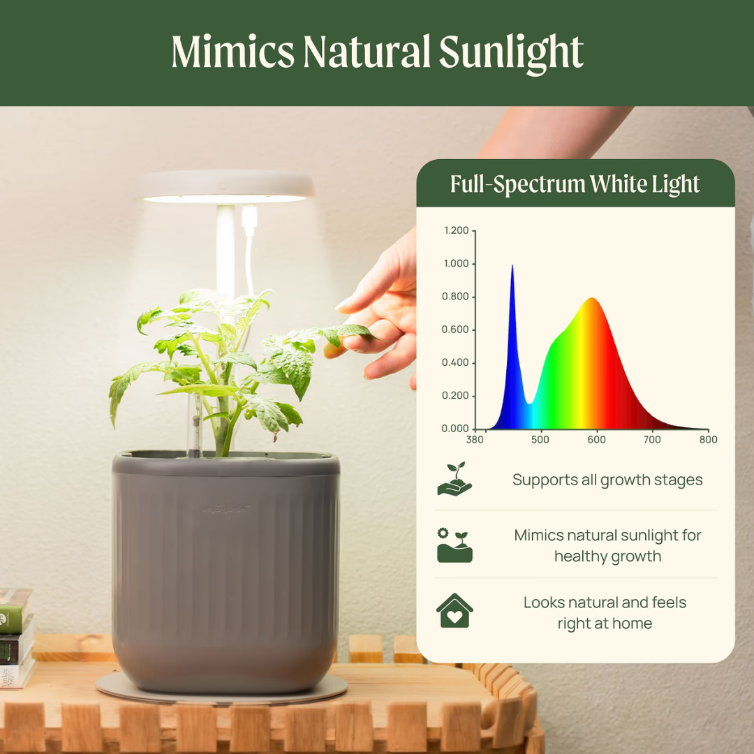 Vego Grow Light Stand - Mini
