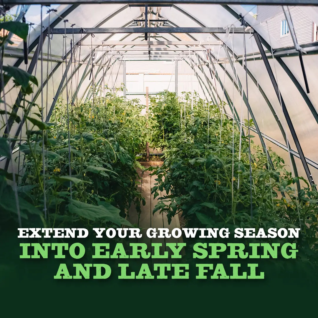 YourGreenhouses Inc Classic Arch Greenhouse