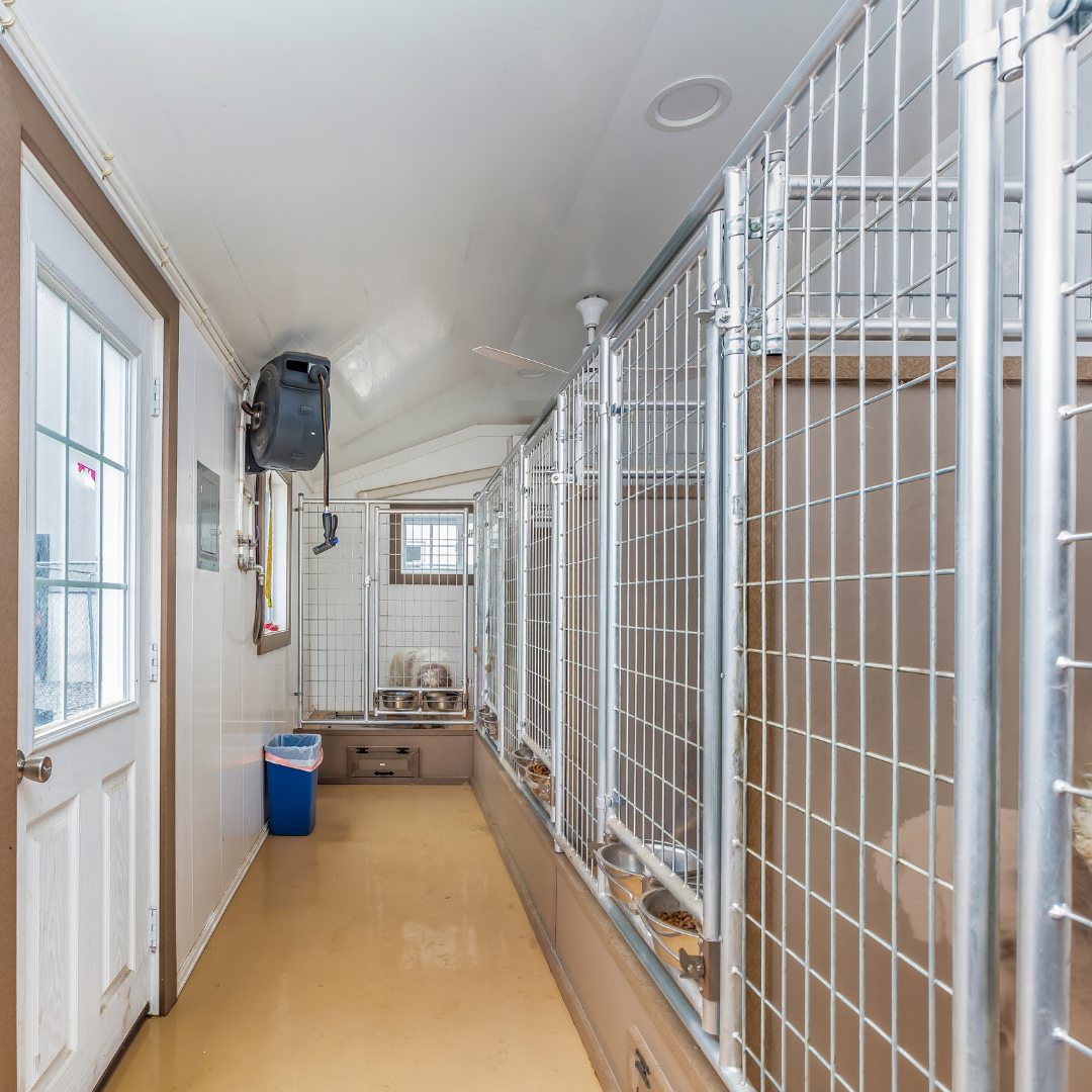 Bird in Hand 15×32 8-Run Commercial Kennel