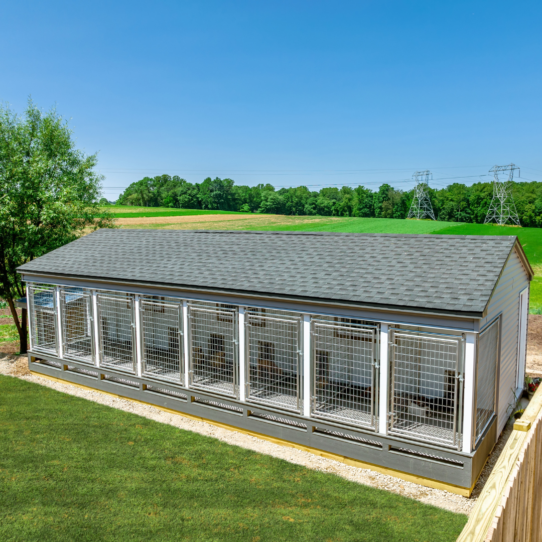 Bird in Hand 14×32 8-Run Commercial Kennel