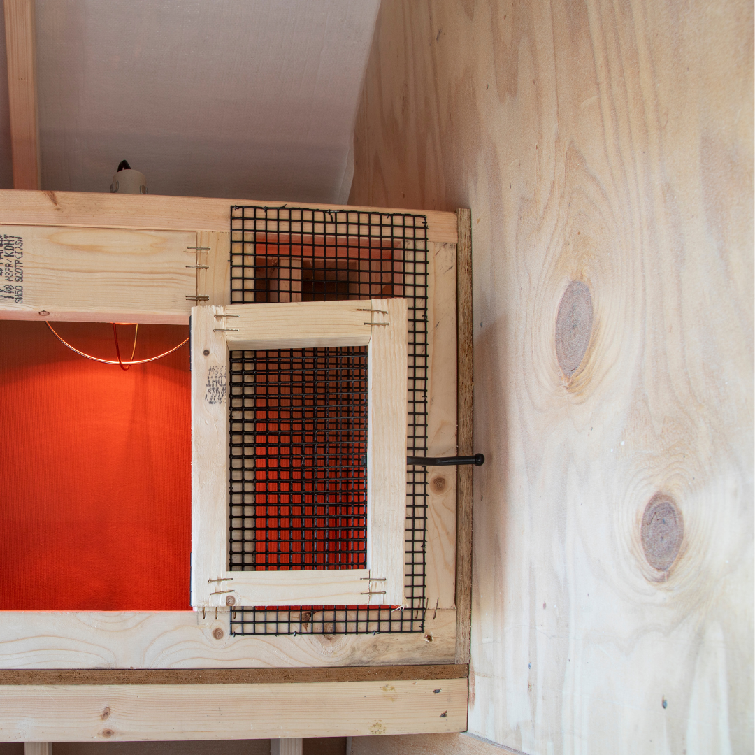 Bird-in-Hand 6×10 A-Frame Chicken Coop