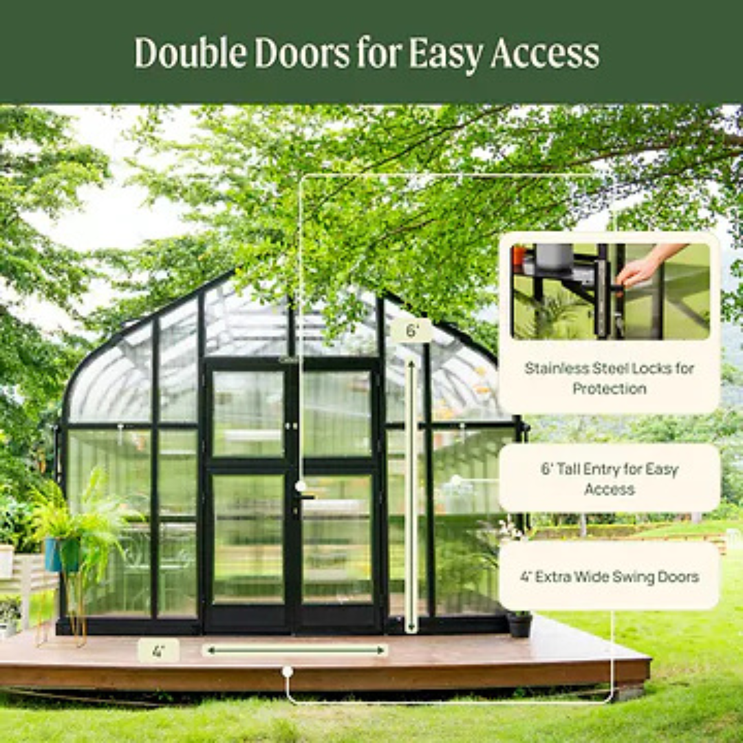 Vego Pacific Greenhouse - 10.5ft Wide