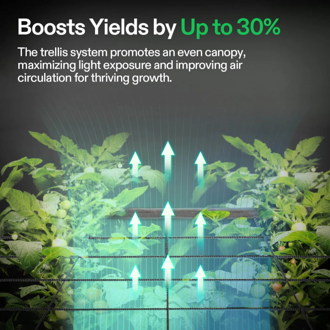 Vivosun Trellis Net for VGrow Smart Grow Box, 1 x 1 ft