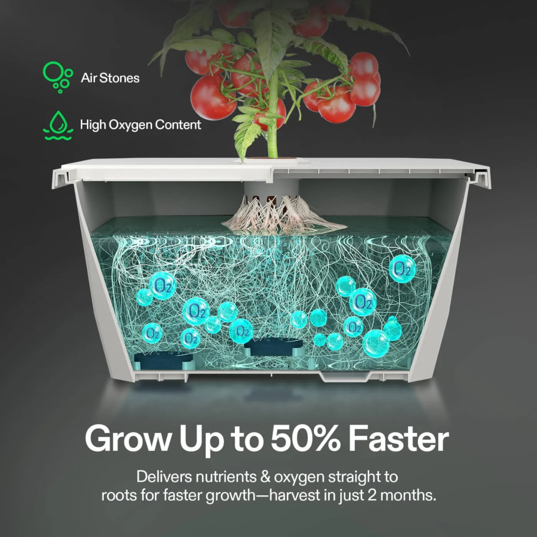 Vivosun VGrow DWC Hydroponics Growing System Kit for VGrow Smart Grow Box, 4-Gallon Deep Water Culture with Air Stones and Rapid Rooters, Not Compatible with E42A+