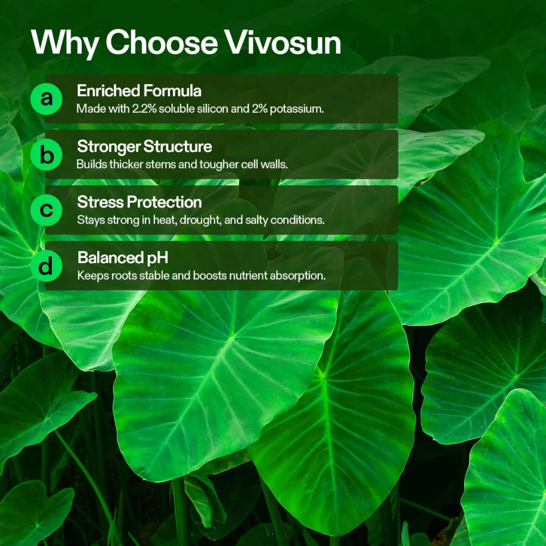 Vivosun StemX (0-0-2) Silica for Plants, Soluble Silicon Plant Supplement Fertilizer, Liquid Nutrient Solution for Strong Stems, Healthy Leaves, Boost Plant Resilience & pH Balance, 32 oz