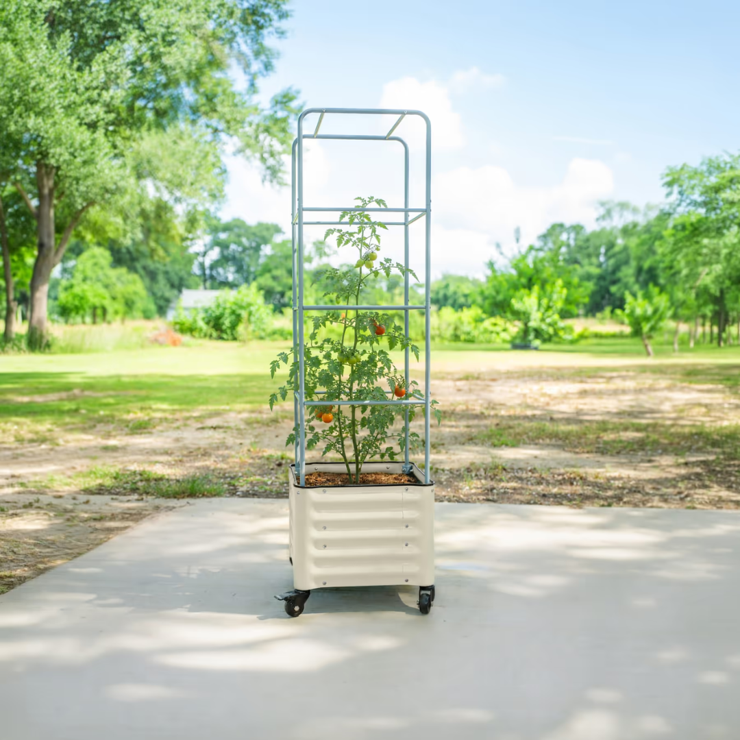 Vego Classic Rolling Cube Tomato Planter