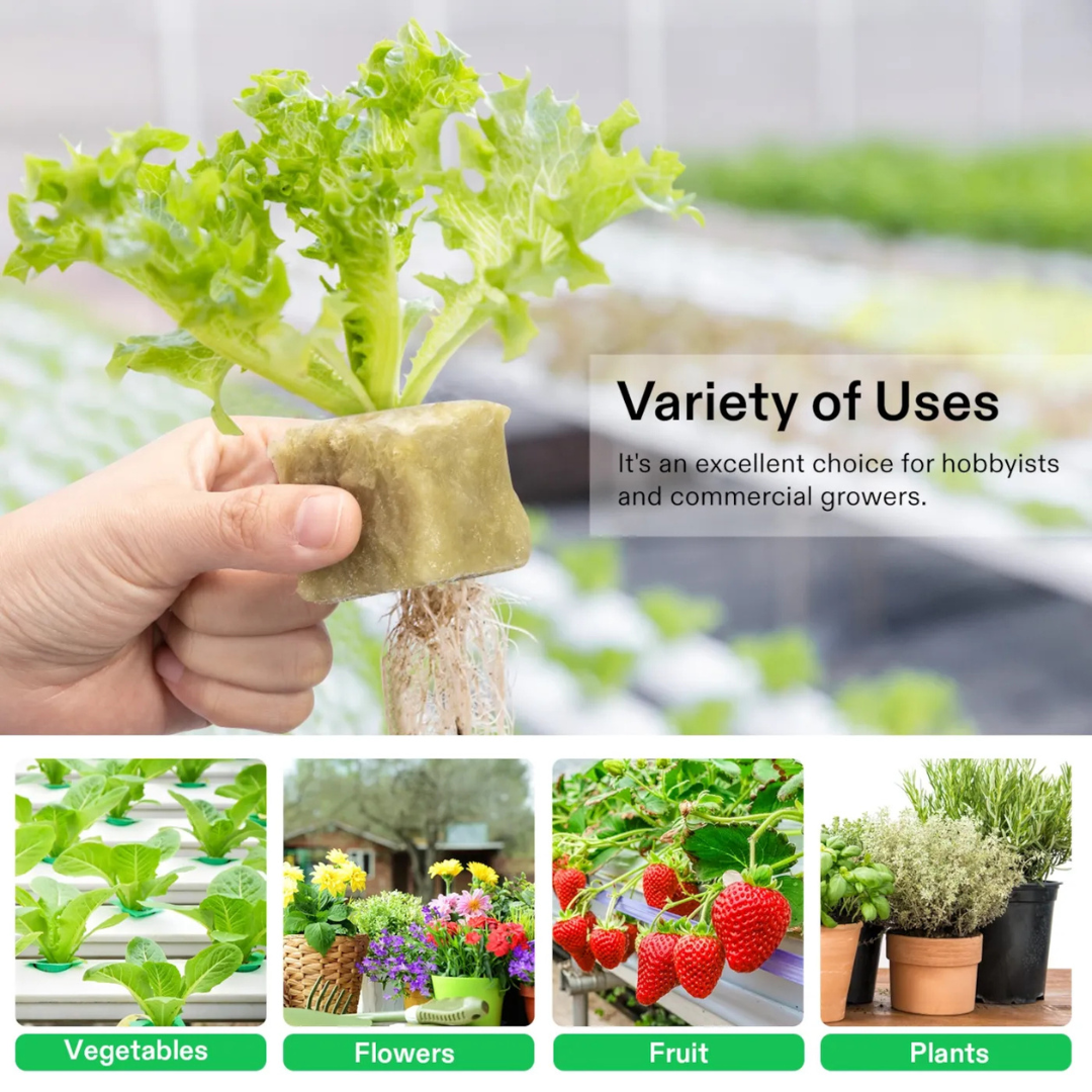 Vivosun 1.6" Rockwool Grow Cubes