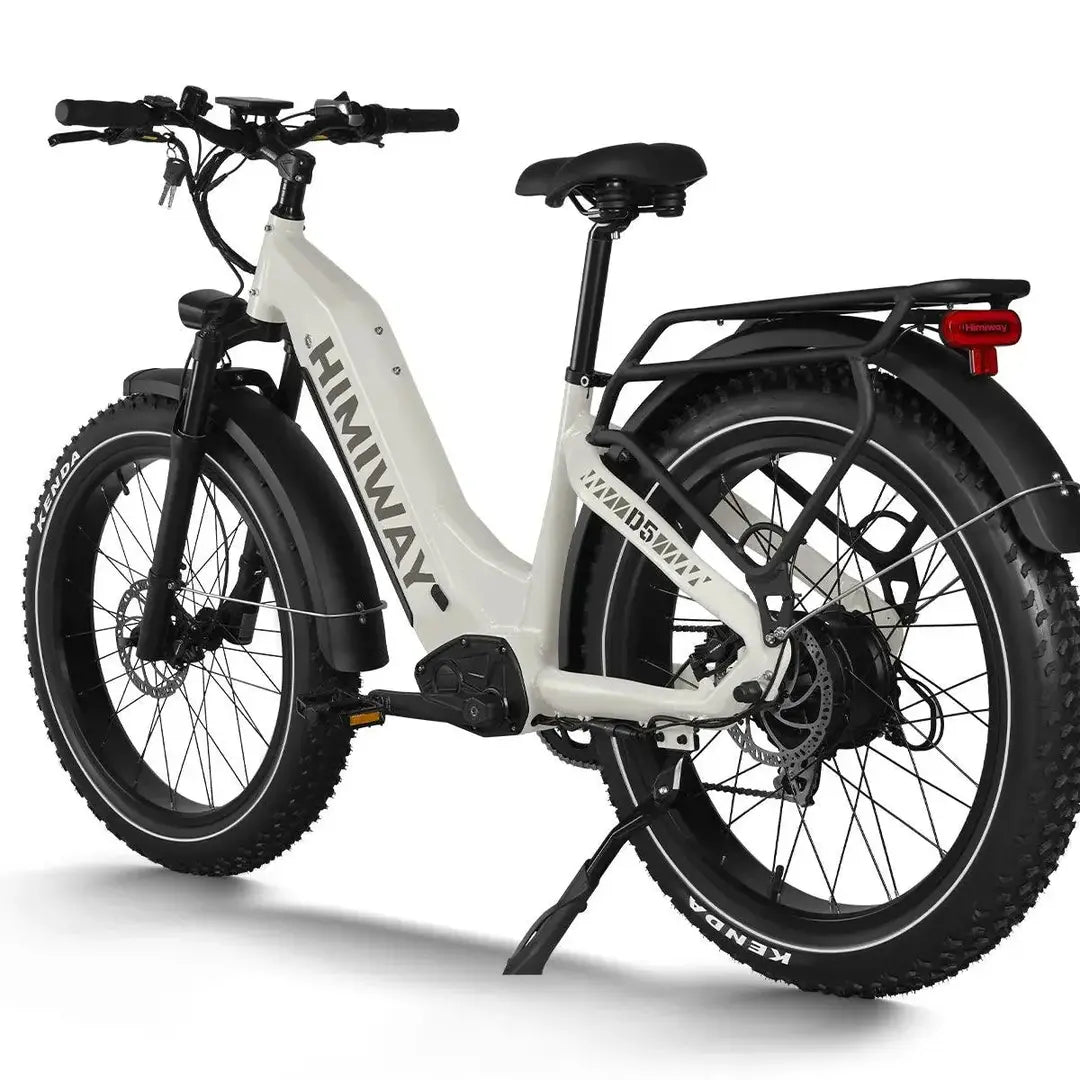 Himiway D5(Zebra) / All-terrain Electric Fat Bike