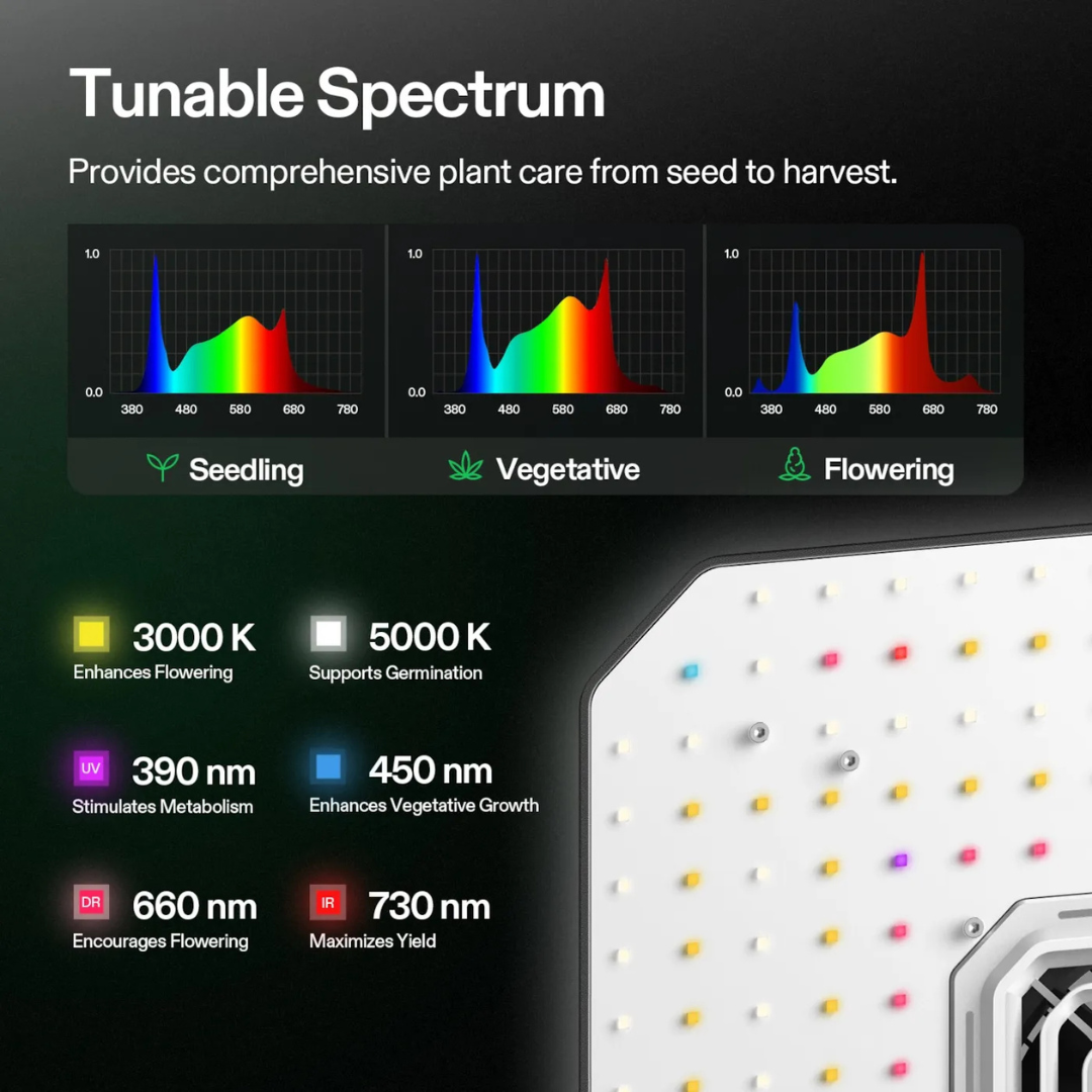 Vivosun AeroLight A100 Tunable Spectrum LED Grow Light 100W, with Integrated Circulation Fan, Compatible with APP, 2 x 2 Ft. Coverage
