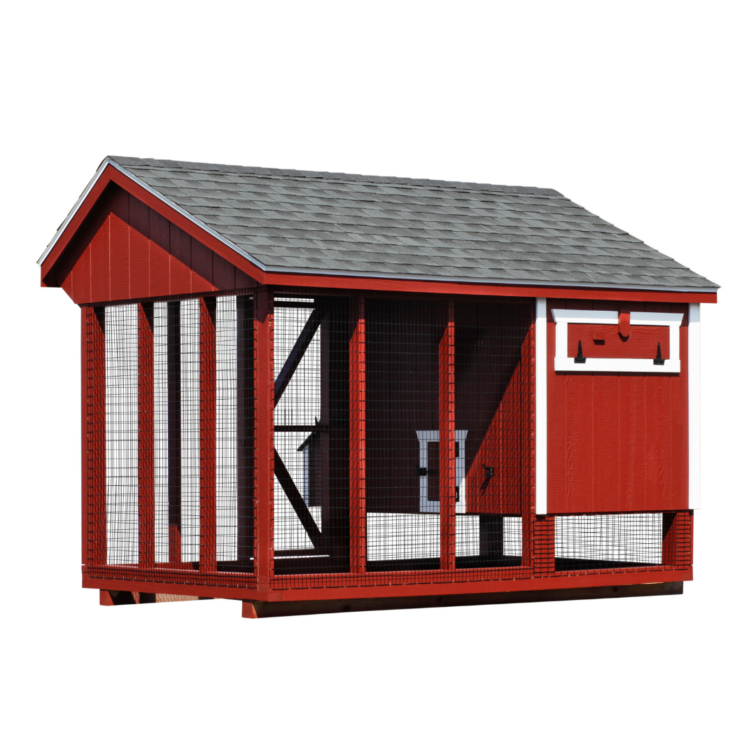 Bird-in-Hand 6×10 Quaker Combination Chicken Coop