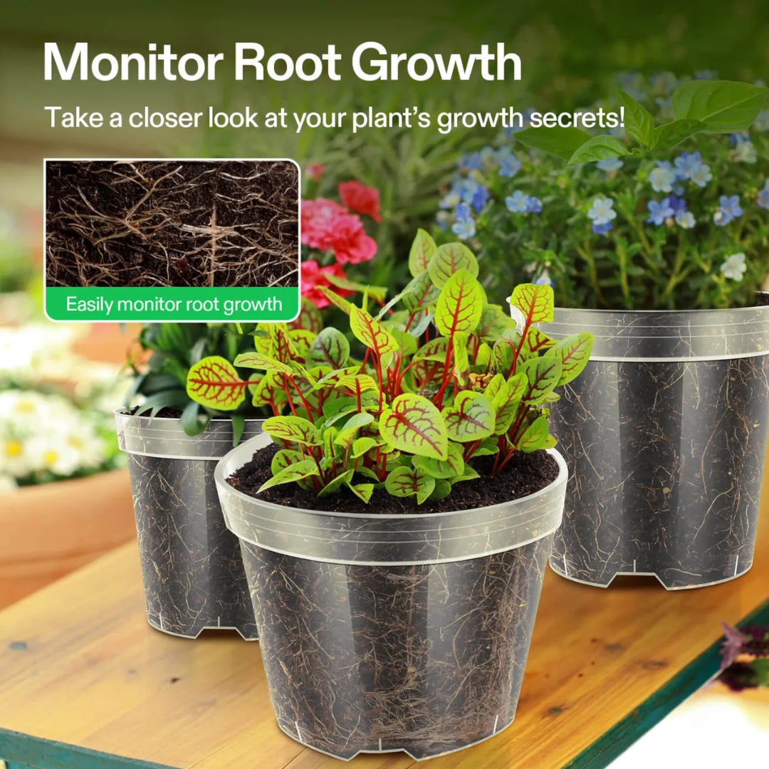 Vivosun 40 Packs 3/4/5/6 Inch Clear Nursery Pots with Drainage Holes