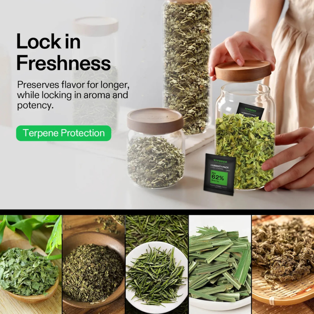 Vivosun 62% RH Two-Way Humidity Control Packs, 10 Packs, Each for Storing 1 oz, Moisture Balancer with RH Indicator Card for Food & Herb Storage