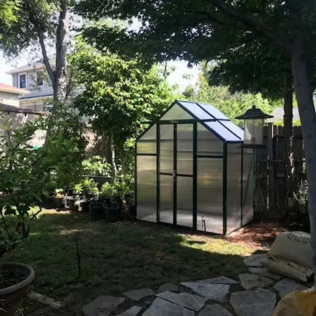 Grandio Element 6x4 Greenhouse Kit