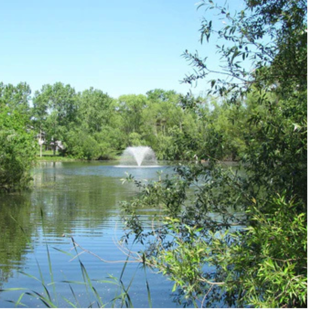 Scott Aerator North Star Fountain Aerator for Medium, Residential Ponds 1 hp 115 volts