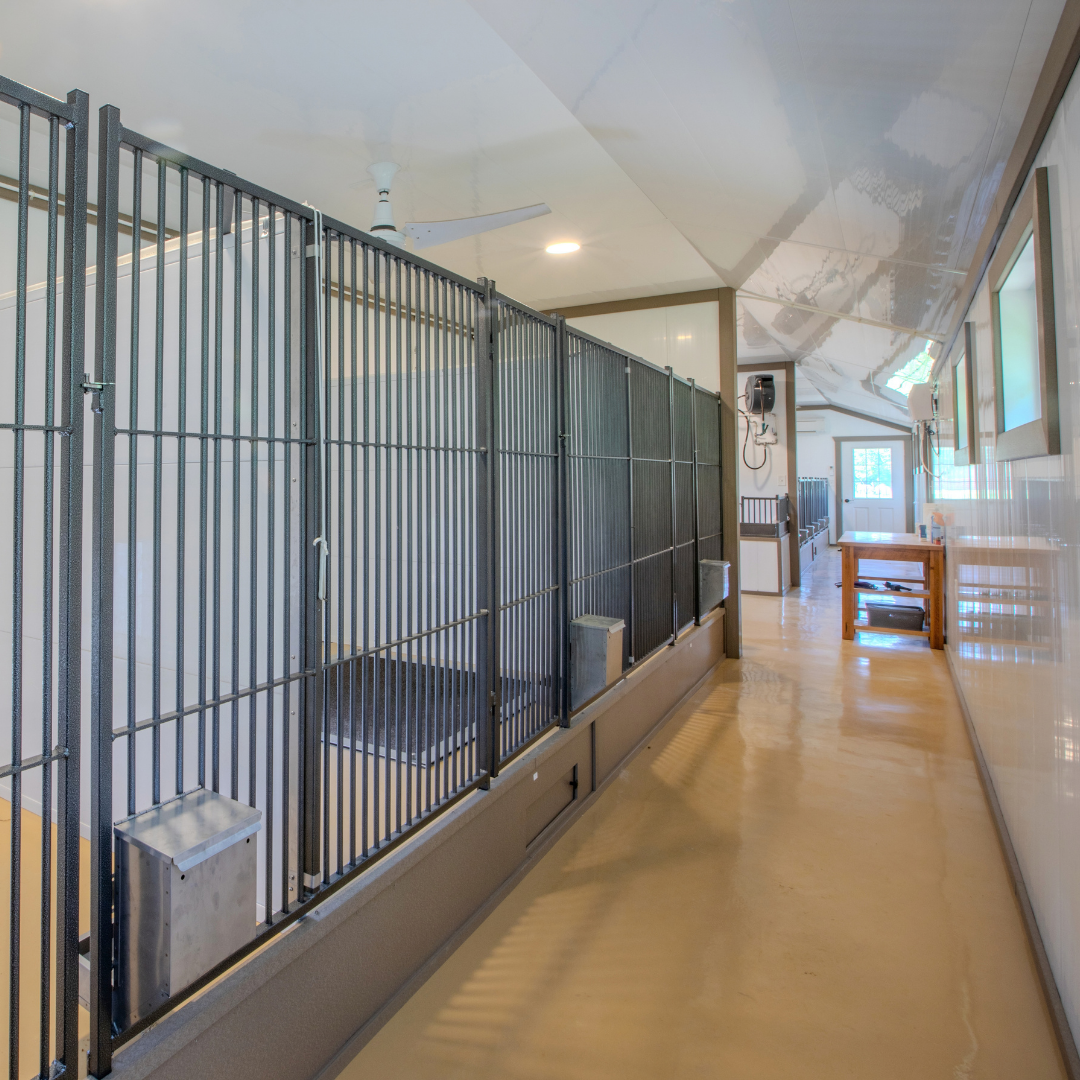 Bird in Hand 23×60 9-Run Dog Commercial Kennel With An Office