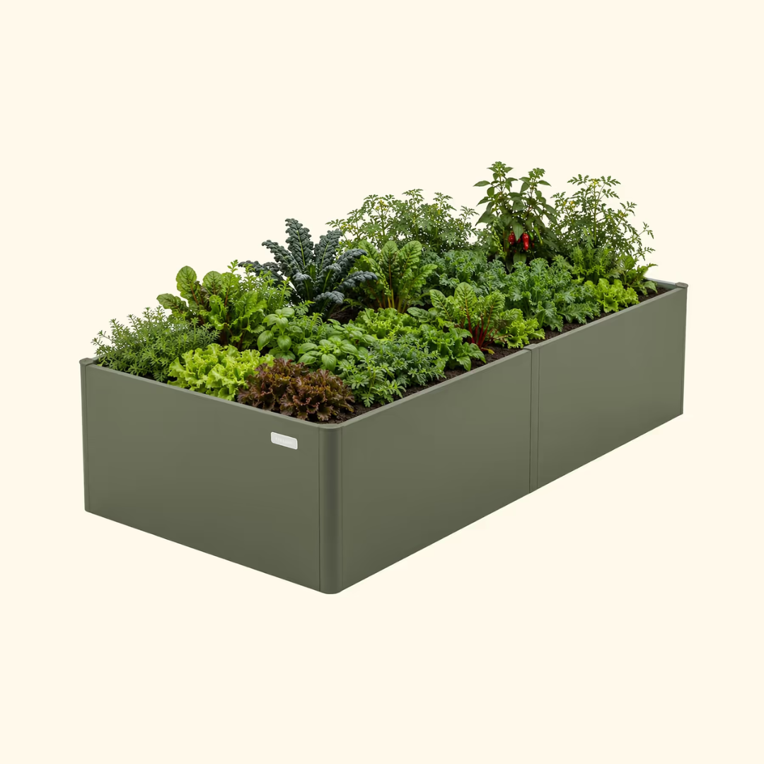 Vego 17" Tall Modern 3' x 6' Metal Raised Garden Bed