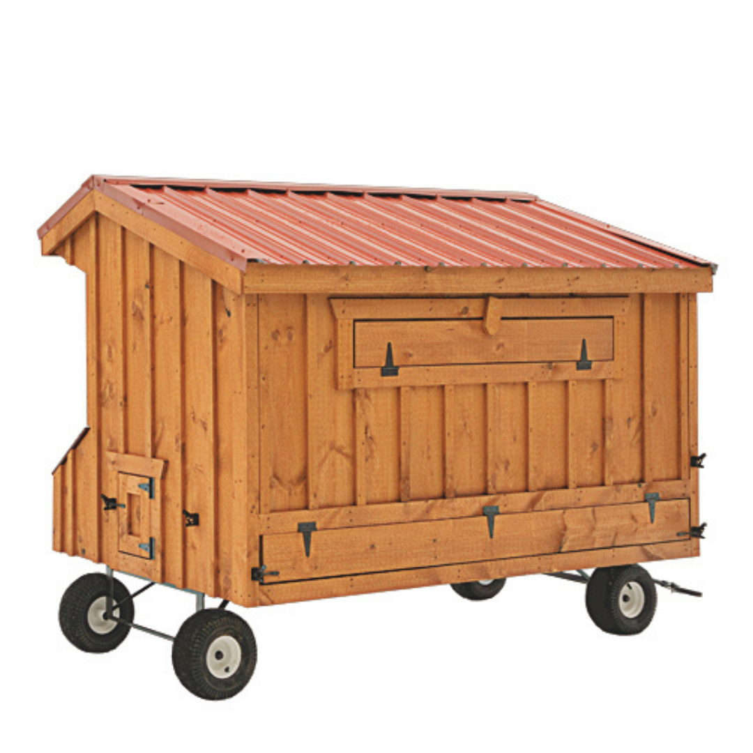 Bird-in-Hand 4×8 Quaker Chicken Coop