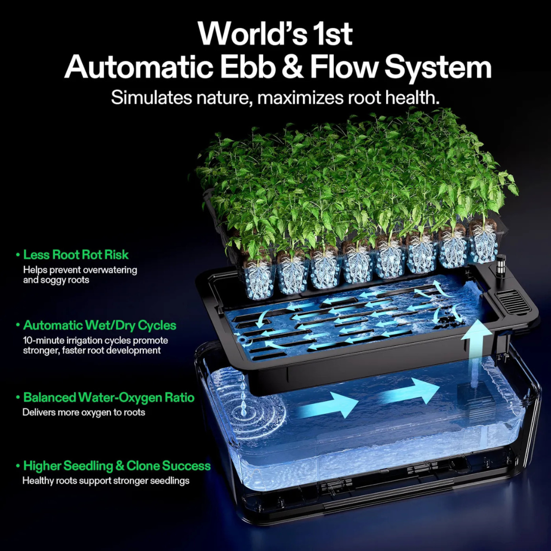 Vivosun VSeed S40 Smart Seedling Box, Indoor Seed Starting & Cloning System with Ebb & Flow Irrigation, 2 Pack