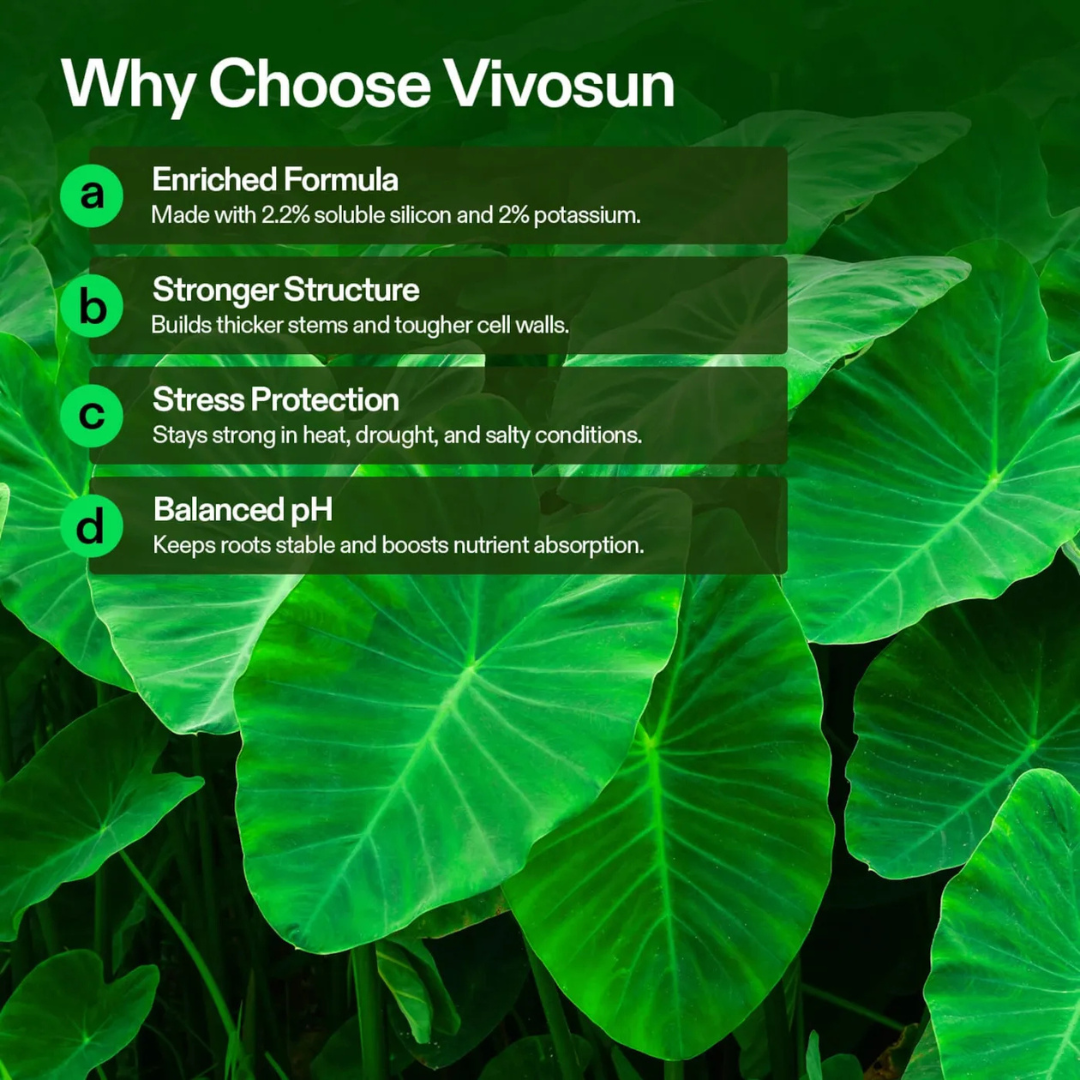 Vivosun StemX (0-0-2) Silica for Plants, Soluble Silicon Plant Supplement Fertilizer, Liquid Nutrient Solution for Strong Stems, Healthy Leaves, Boost Plant Resilience & pH Balance, 8 oz