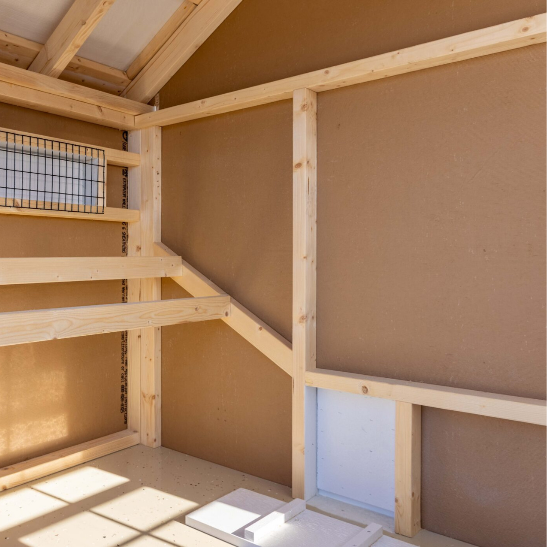 Bird-in-Hand 6×8 Quaker Combination Chicken Coop