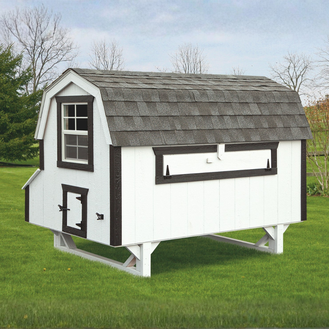 Bird-in-Hand 4×8 Dutch Chicken Coop