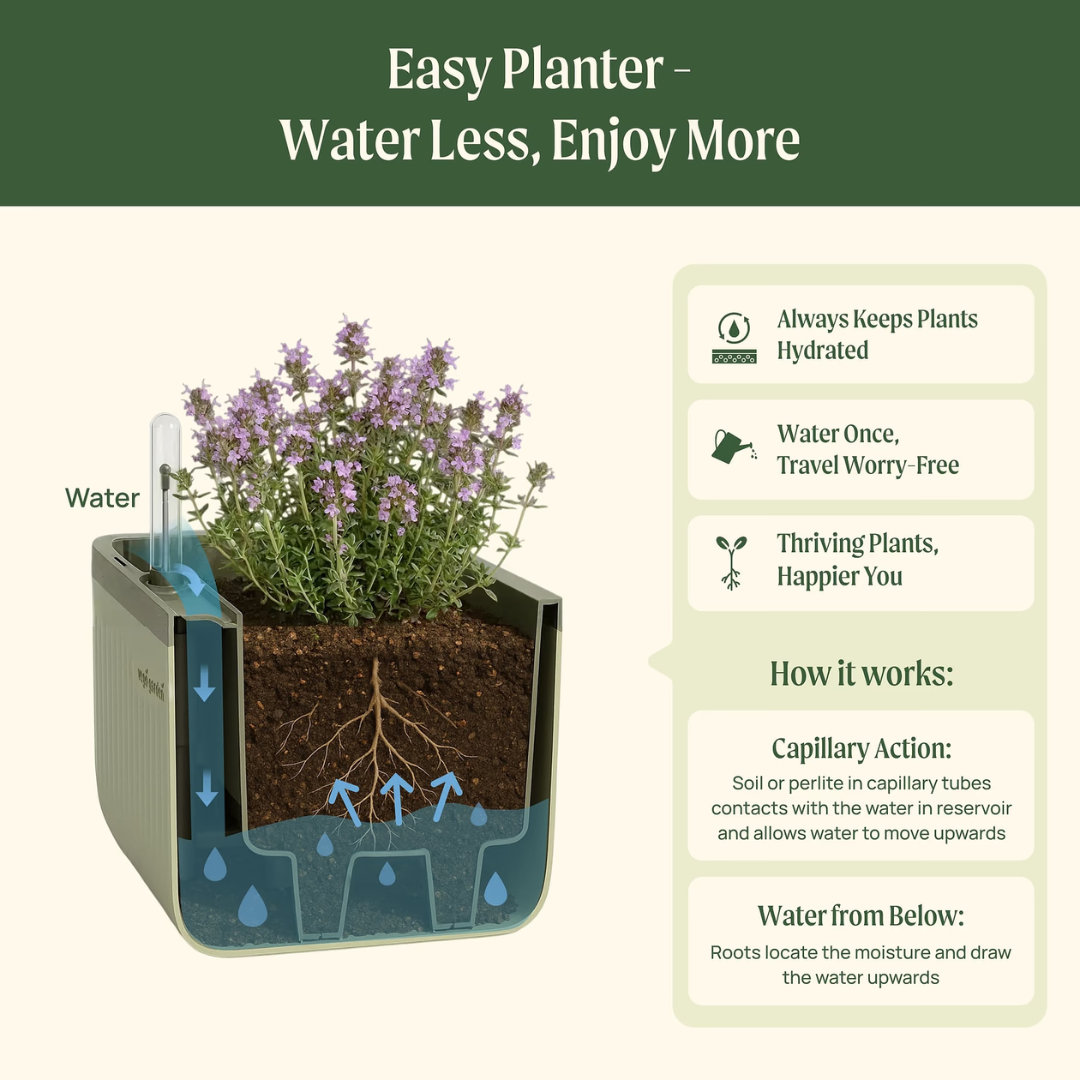 Vego EZ Self-Watering Herb Planter with Trellis Gen 2