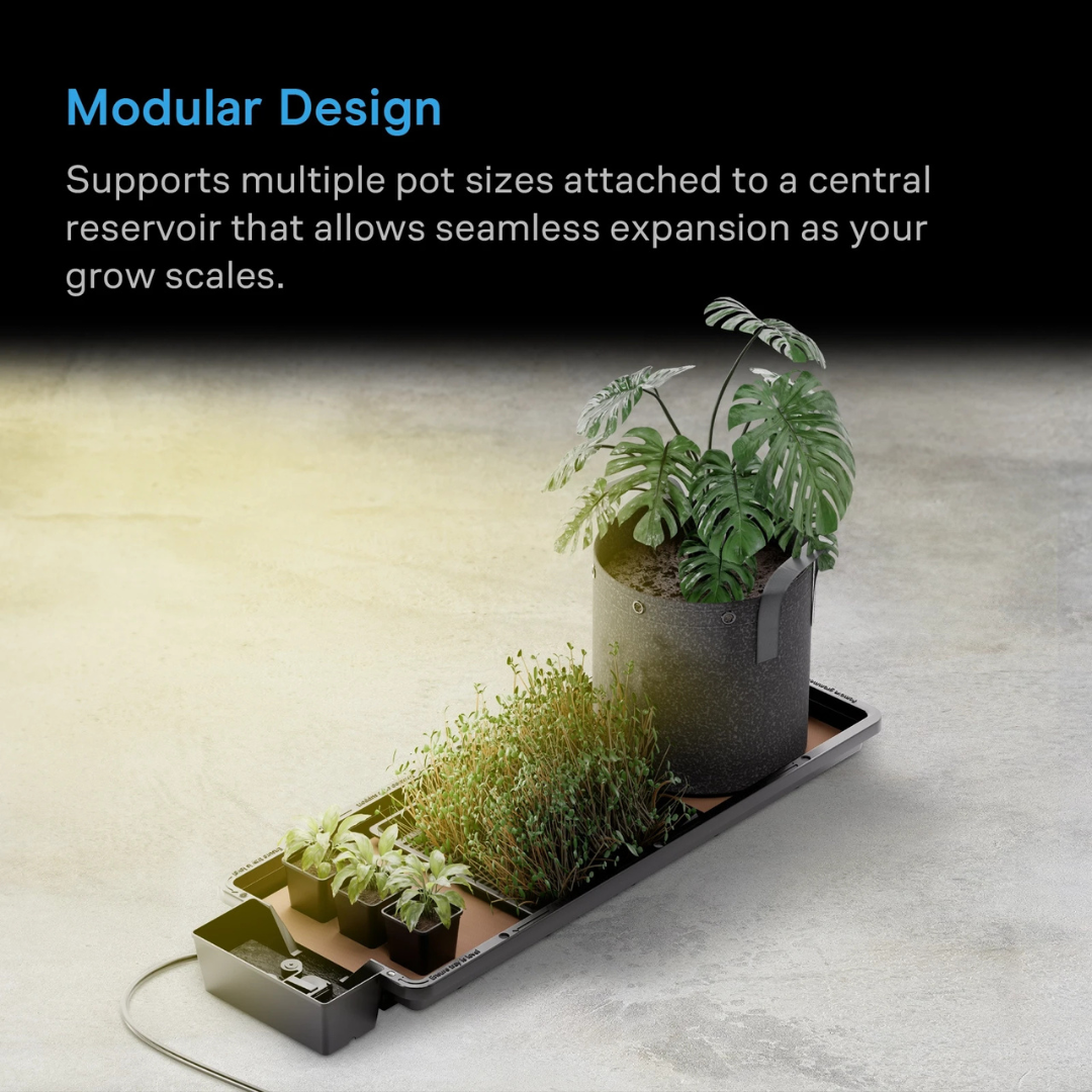 AC Infinity Tray2Grow Slim Kit, Gravity-Powered Automated Tray System