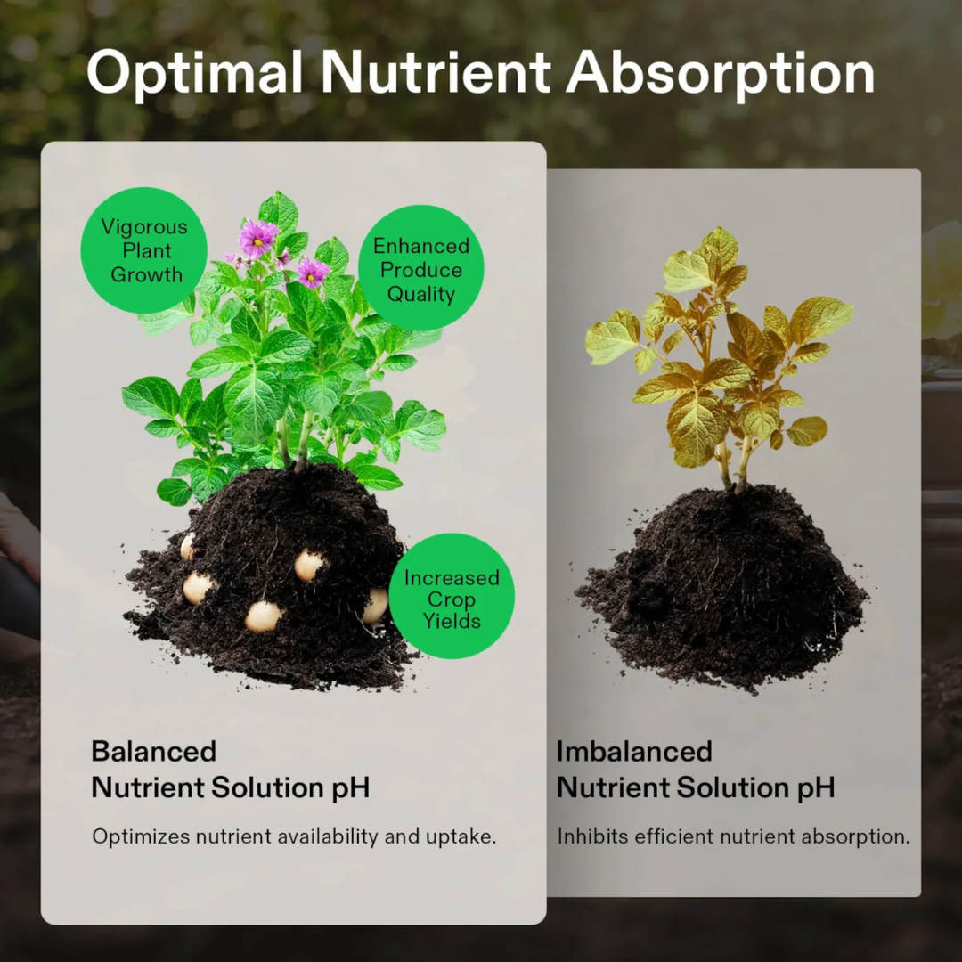 Vivosun pH Up & pH Down Kit, Liquid Fertilizer for All Plants and All Growing Systems, 1 Quart Each
