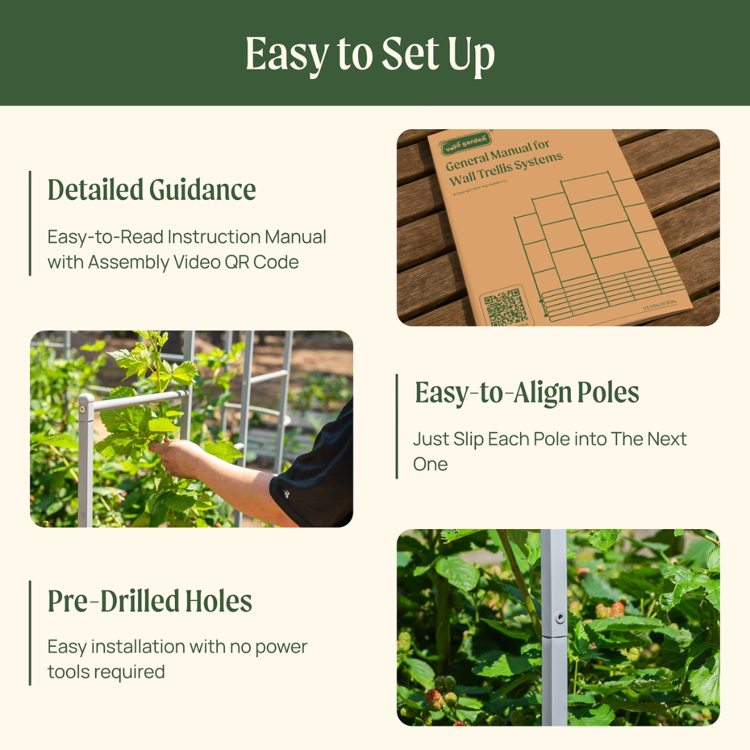 Vego Wall Trellis System
