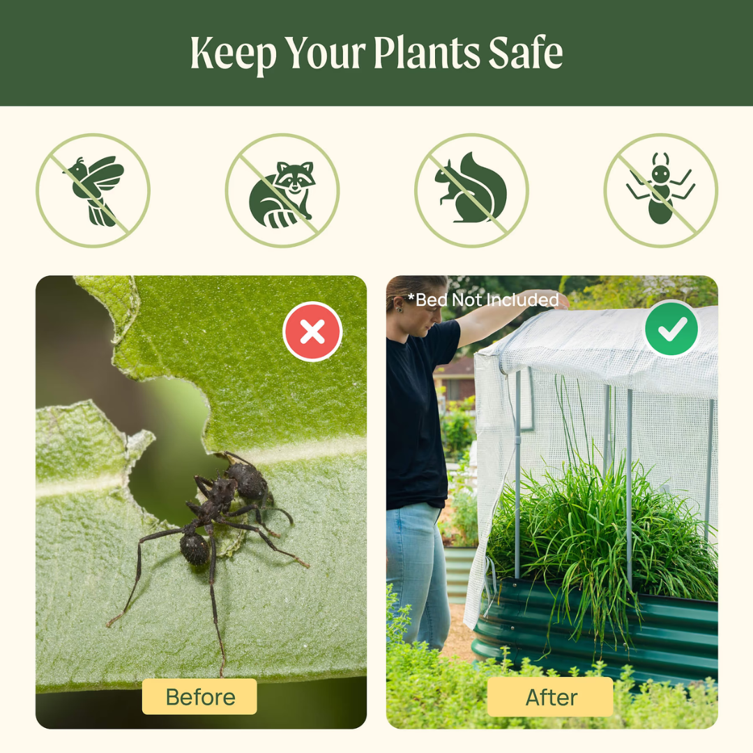 Vego Greenhouse Frost Cover