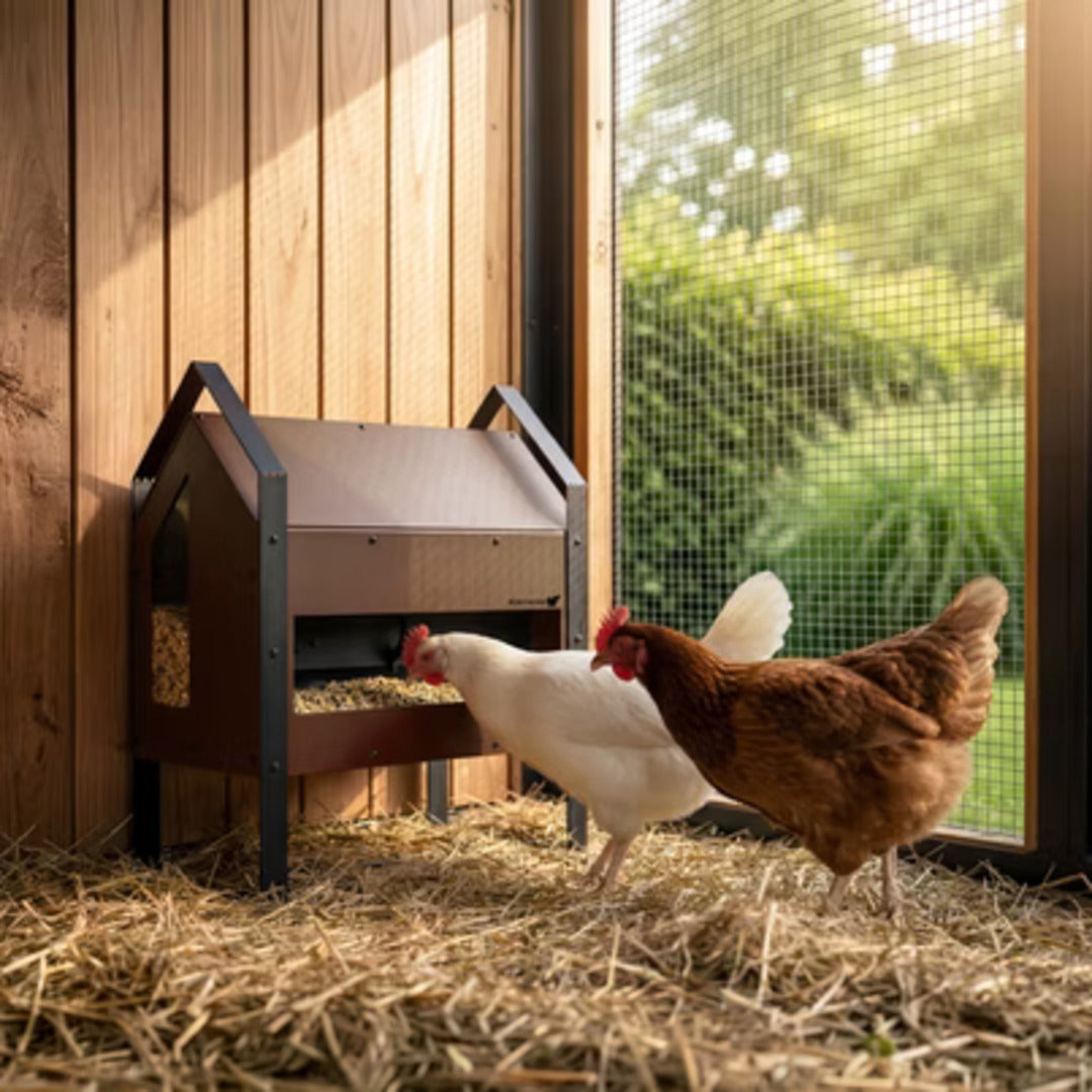 RUN-CHICKEN GO Automatic Feeder