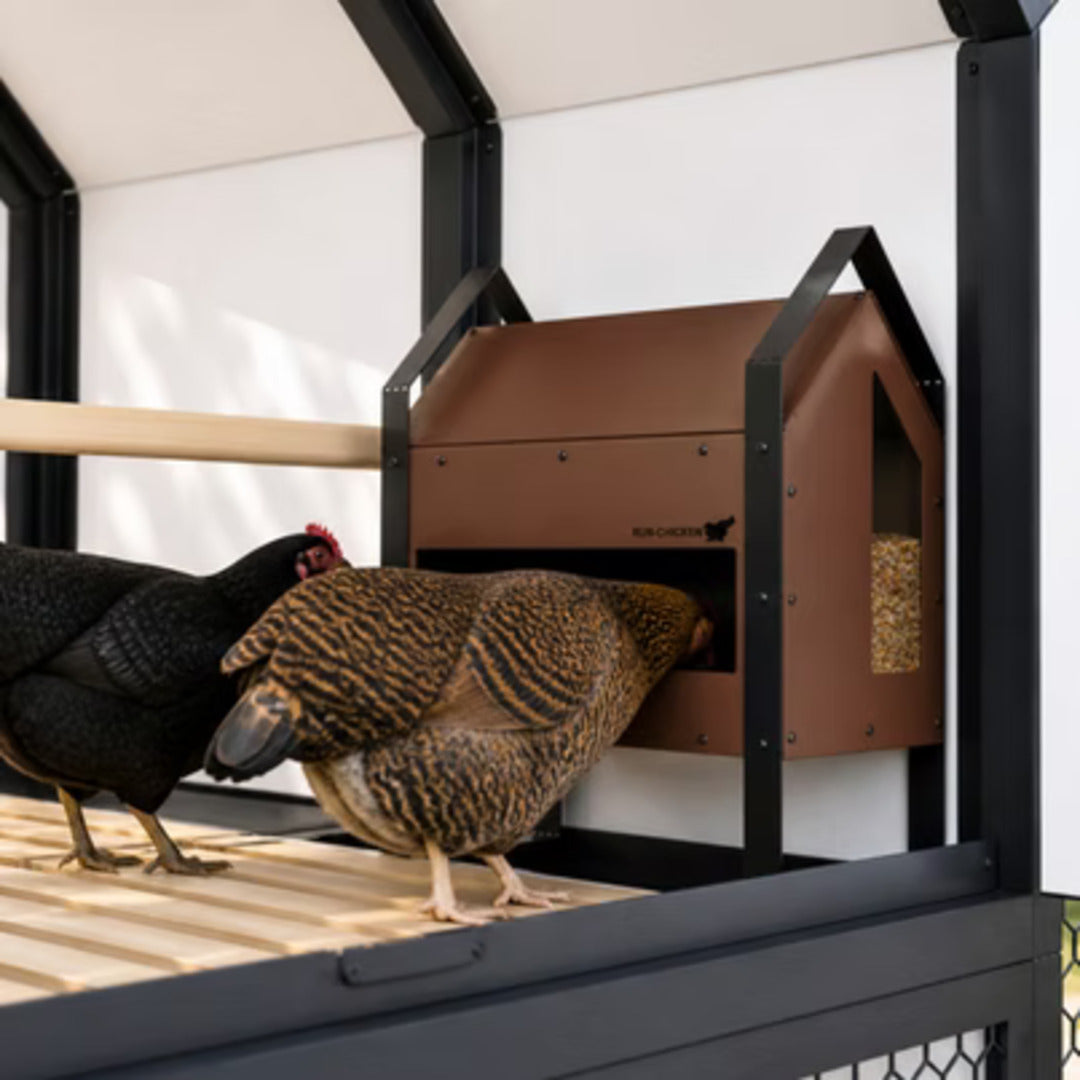 RUN-CHICKEN GO Automatic Feeder