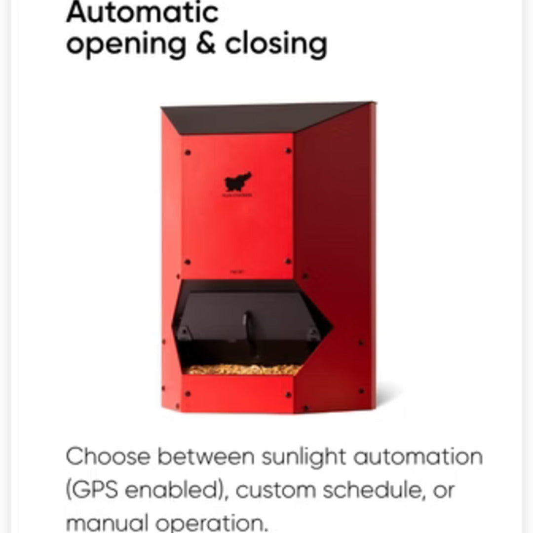 RUN-CHICKEN F80 Feeder