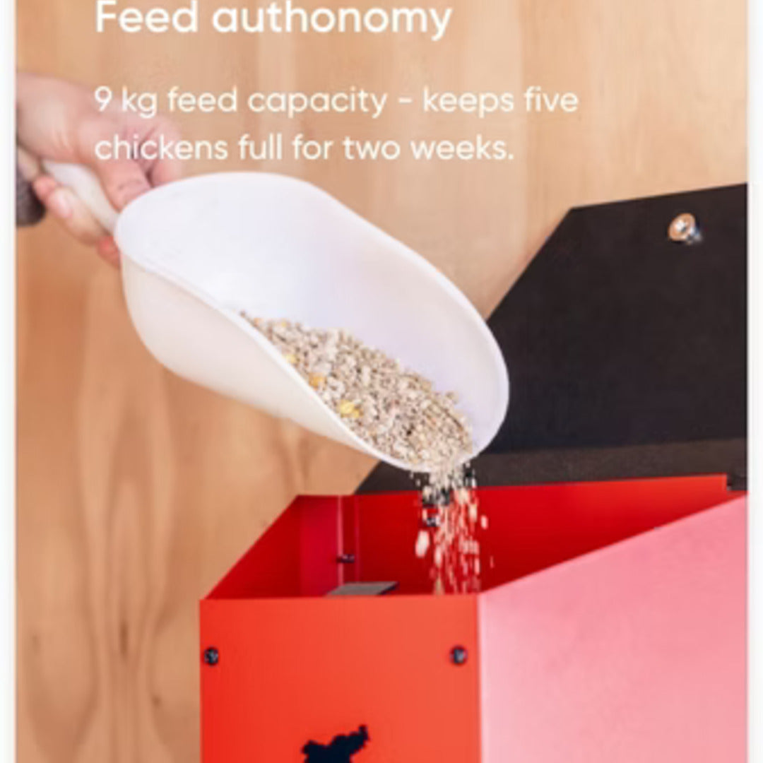 RUN-CHICKEN F80 Feeder