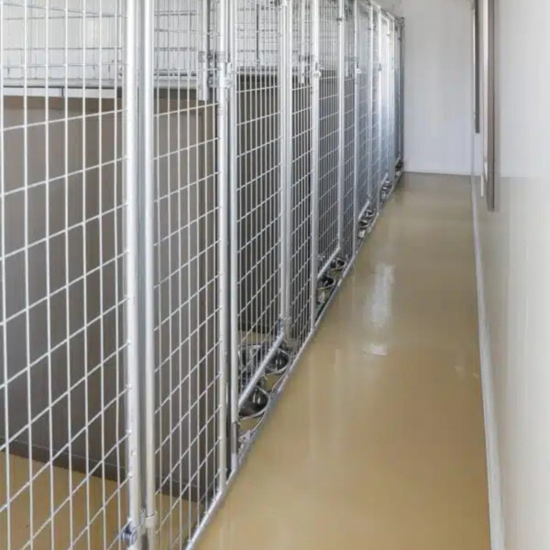Bind in Hand 12×32 6-Run Commercial Kennel
