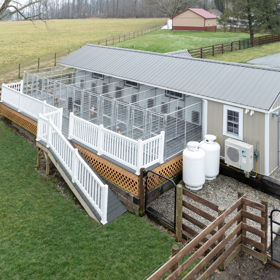 Bird in Hand 14×44 10-Run Commercial Kennel
