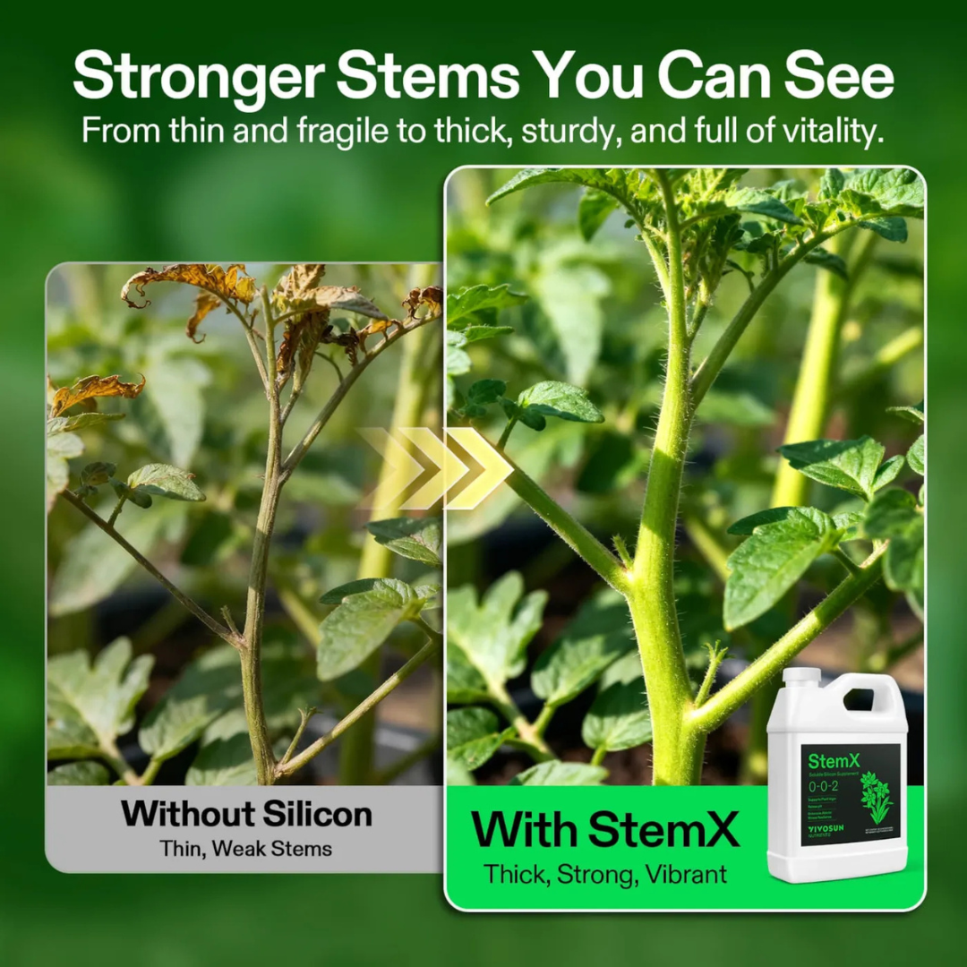 Vivosun StemX (0-0-2) Silica for Plants, Soluble Silicon Plant Supplement Fertilizer, Liquid Nutrient Solution for Strong Stems, Healthy Leaves, Boost Plant Resilience & pH Balance, 32 oz