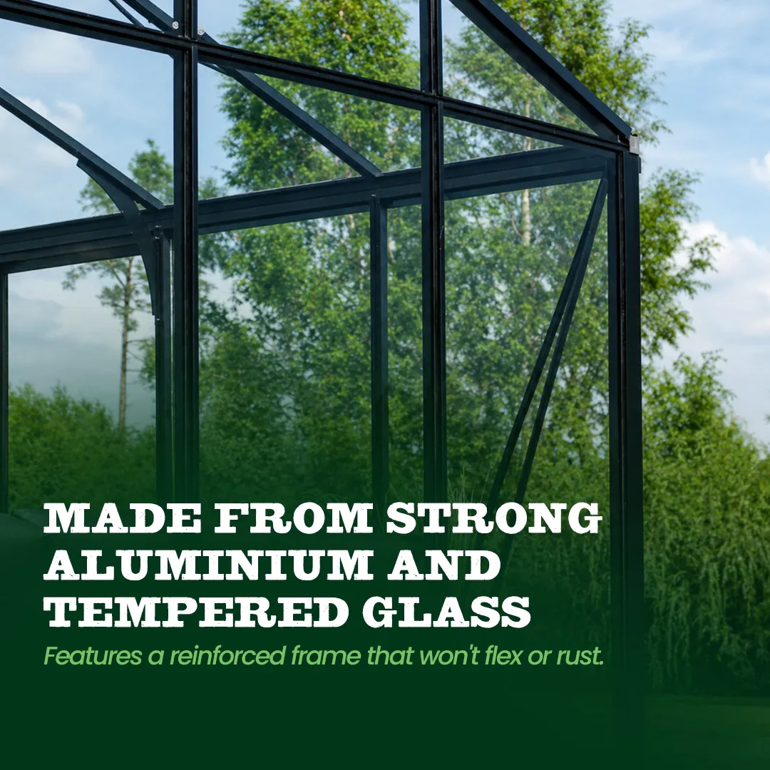 YourGreenhouses Scandiglas T-Shape Orangerie