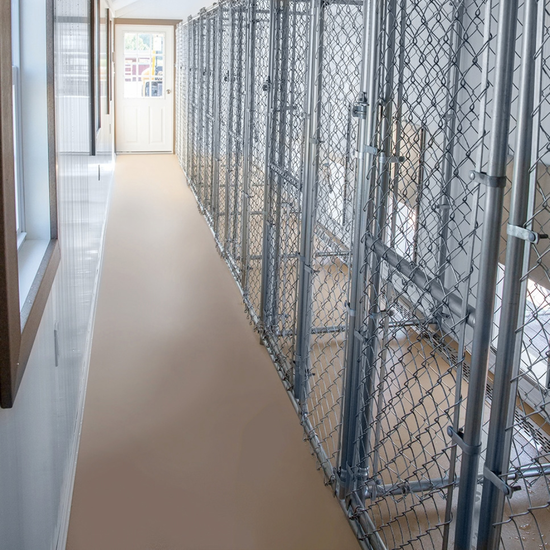 Bird in Hand 12×32 8-Run Commercial Kennel