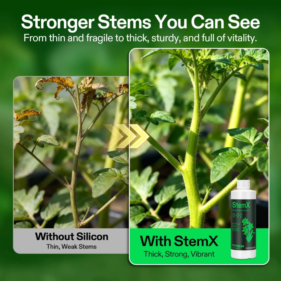 Vivosun StemX (0-0-2) Silica for Plants, Soluble Silicon Plant Supplement Fertilizer, Liquid Nutrient Solution for Strong Stems, Healthy Leaves, Boost Plant Resilience & pH Balance, 8 oz
