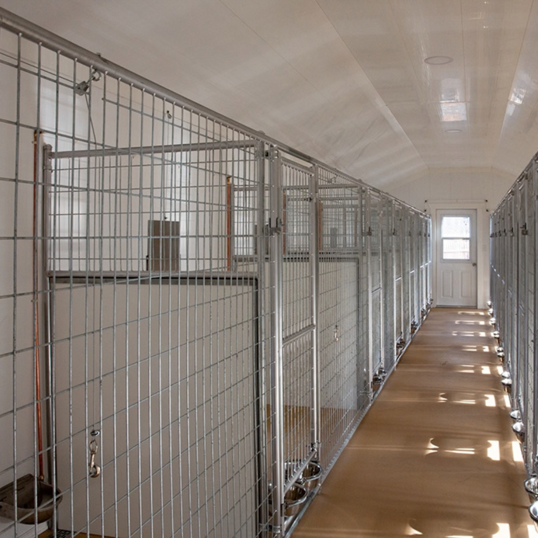 Bird in Hand 24×60 16-Run Commercial Kennel