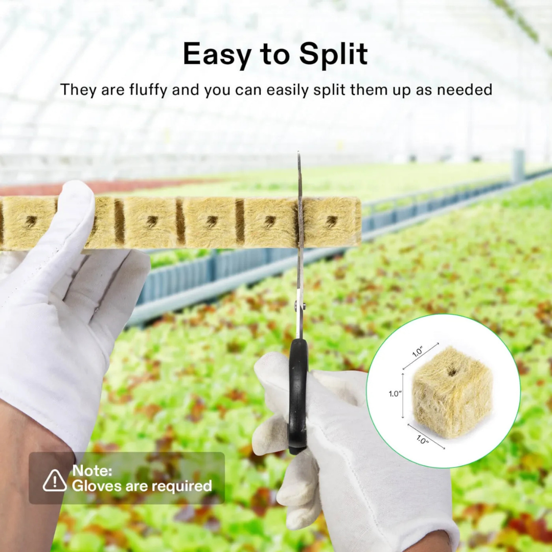 Vivosun 1" Rockwool Grow Cubes, 4 Sheets of 200 Plugs