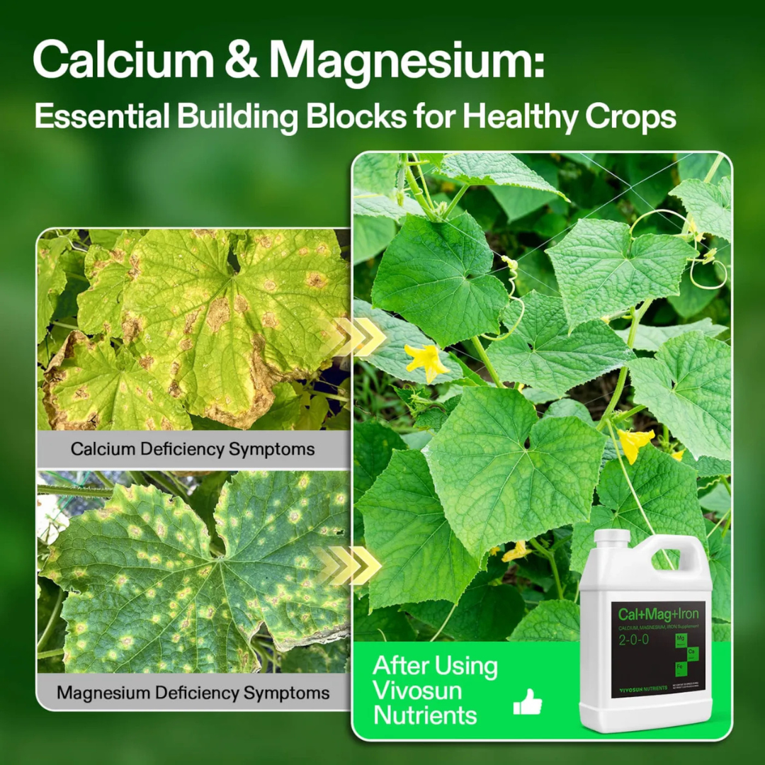 Vivosun Cal+Mag+Iron (2-0-0), Calcium, Magnesium & Iron Supplement, Liquid Nutrient Fertilizer for All Plants, 1 Quart