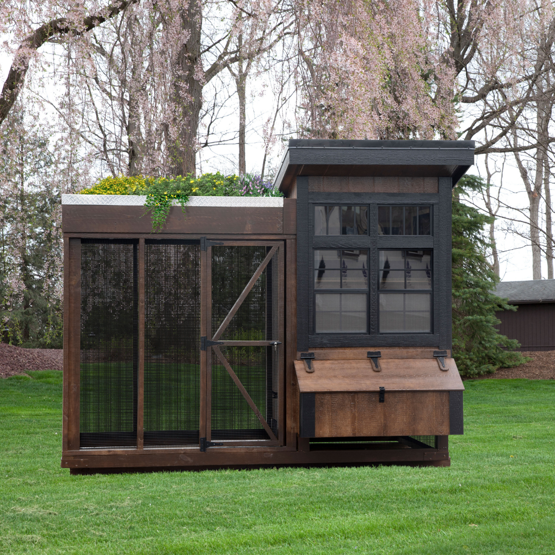 Bird in Hand 5×10 Lean-To Combination Chicken Coop