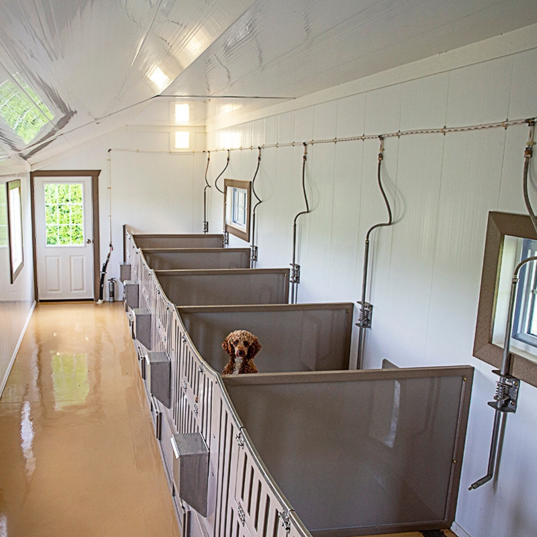 Bierd in Hand 14×28 7-Run Commercial Kennel