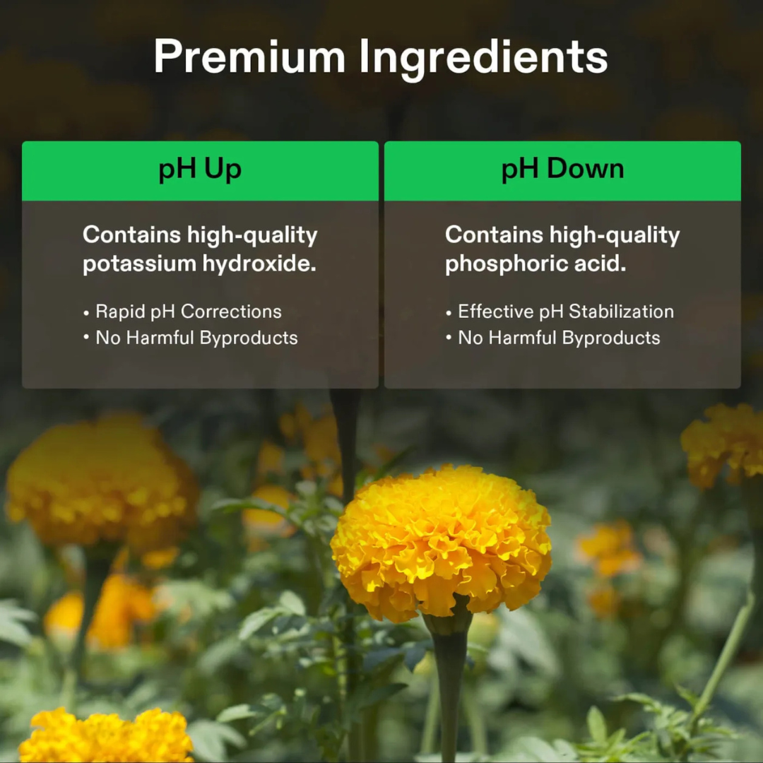 Vivosun pH Up & pH Down Kit, Liquid Fertilizer for All Plants and All Growing Systems, 1 Quart Each